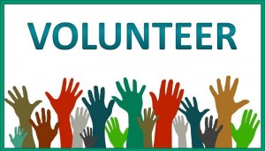volunteering-programme
